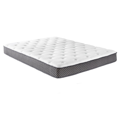8" MD NOVUS SLEEP GV FOAM